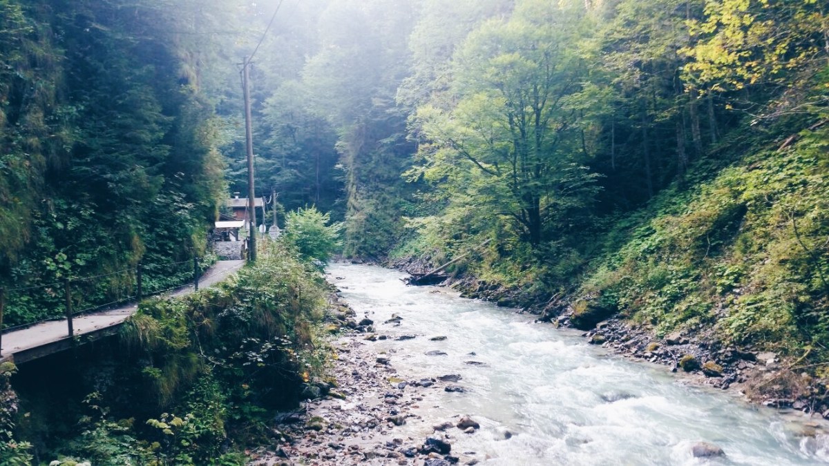 Processed with VSCO with hb1 preset