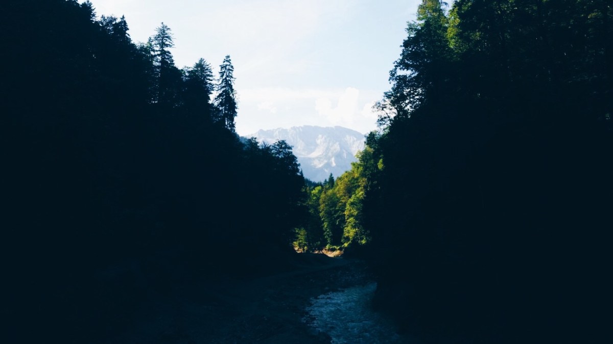 Processed with VSCO with hb1 preset