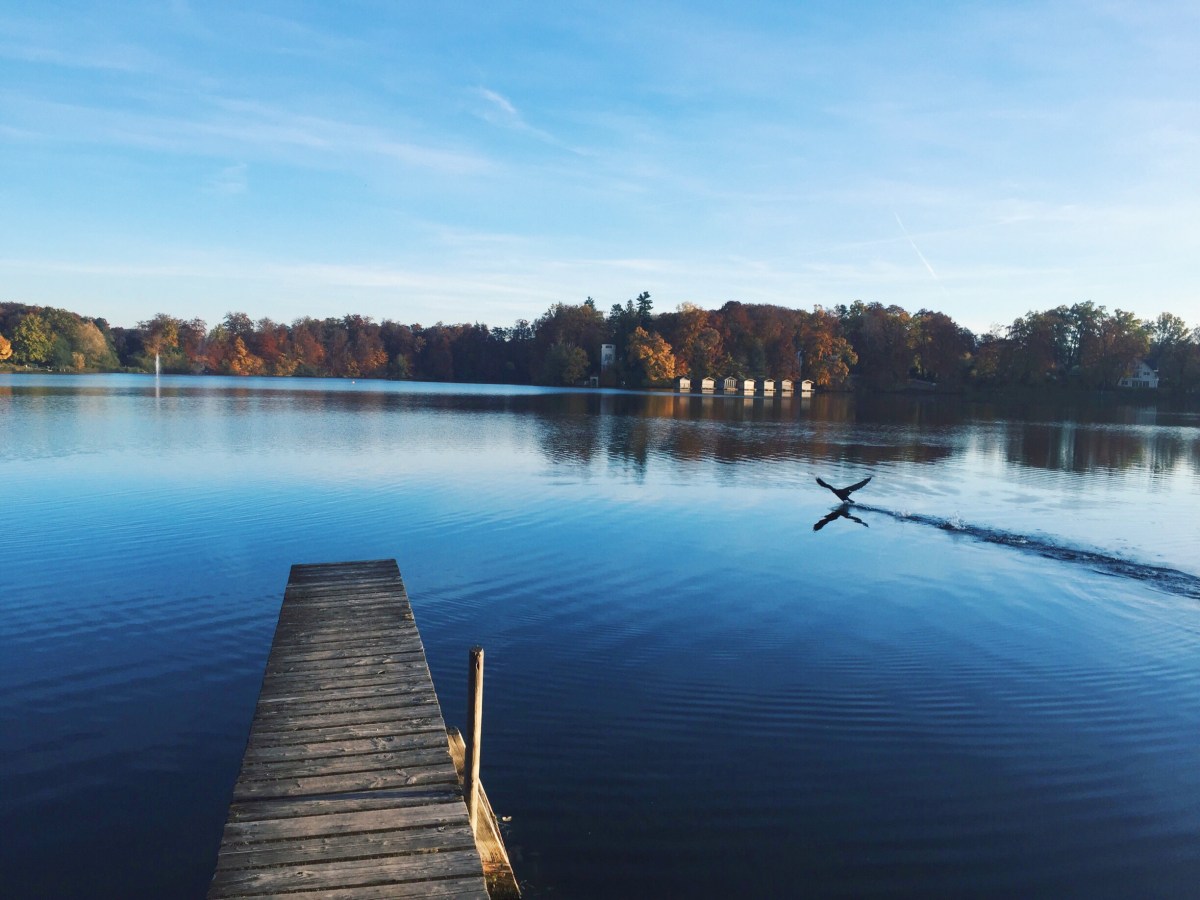 Processed with VSCO with hb2 preset