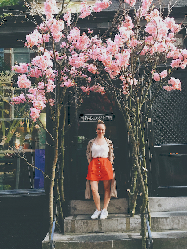 9C4CDD8E-5AAF-40A6-8435-09428DEFCC95